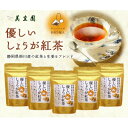 【ふるさと納税】優しいしょうが紅茶「ジンジャーティー」(紅茶、生姜、共に掛川産)ティーバッグ2g×13入り×5袋【配送不可地域:離島・沖縄県】【1365356】