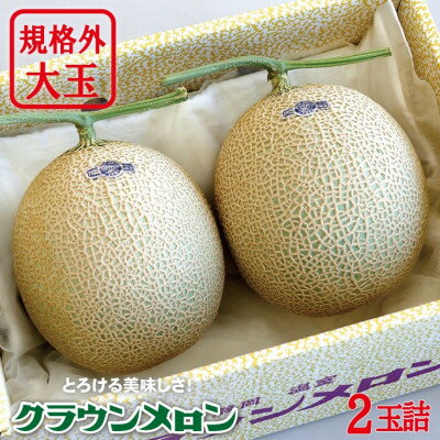 【ふるさと納税】クラウンメロン(規格外大玉) 2玉詰【配送不可地域:離島・北海道・沖縄県】【1486583】