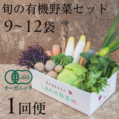 【ふるさと納税】しあわせ野菜畑の有機野菜 Lセット (安心の有機JAS認証 旬のオーガニック野菜 農場直送便)【配送不可地域:離島・北海道・沖縄県・四国・九州】【1493216】