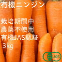 【ふるさと納税】有機ニンジン 栽培期間中農薬不使用 有機JAS認証 冬季限定(12〜3月発送)【配送不可地域:離島・北海道・沖縄県】【1568578】