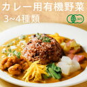 【ふるさと納税】有機野菜でカレーを作ろう カレーに使える有機野菜を3〜4種類 定番野菜だからなんにでも使えます。【配送不可地域:離島・北海道・沖縄県・四国・九州...
