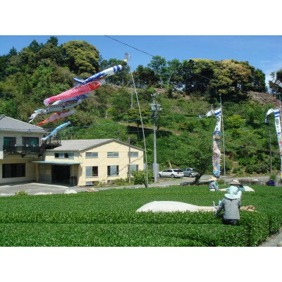 静岡県掛川市の画像2