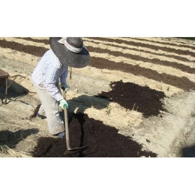 静岡県掛川市の画像3