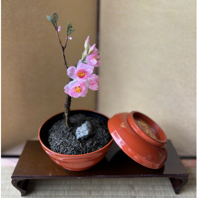 【ふるさと納税】【春 桜】四季を彩る創作草もの盆栽(工芸品)〜工房 椿【配送不可地域:離島・北海道・沖縄県】【1598557】