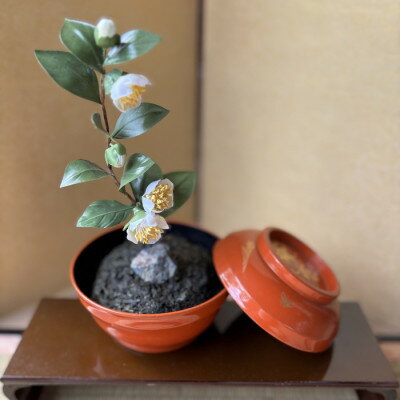 【ふるさと納税】【茶の花】四季を彩る創作草もの盆栽(工芸品)〜工房椿【配送不可地域:離島・北海道・沖縄県】【1599129】
