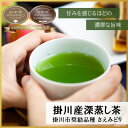 【ふるさと納税】新茶 掛川市奨励品種さえみどり50g×2本 日本茶AWARD受賞茶園のお茶 静岡県掛川市 茶農家直送【配送不可地域:離島・沖縄県】【1601537】(4)