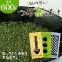 【ふるさと納税】リメイク袋の金印一番茶 3袋 深蒸し茶 日本茶きみくら【6398】【配送不可地域:離島・沖縄県】【1603259】