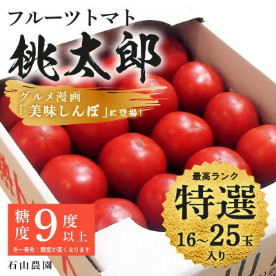 【ふるさと納税】【特選】トマト 美味しんぼに登場したトマト「桃太郎」16〜25玉 ランク:特選 糖度9度以上【配送不可地域:離島・沖縄県】【1604229】