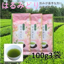 【ふるさと納税】【数量限定】渋いお茶が苦手な方から大好評!産地直送 希少品種「はるみどり」100g×3袋【配送不可地域:離島・沖縄県】【1616208】