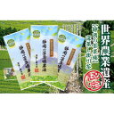 【ふるさと納税】世界農業遺産 茶草場農法 深蒸し掛川茶 100g×3袋 静岡県掛川産 煎茶 一番茶【配送不可地域:離島・沖縄県】【1619202】