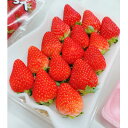 【ふるさと納税】【2026年出荷先行予約】総重量約1080g【掛川市産】いちご・紅ほっぺ DXパック(4パック入)【配送不可地域:離島・北海道・沖縄県・四国・九州】【1635330】