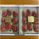【ふるさと納税】【先行予約】いちご【きらぴ香】1箱 (1箱2パック入り 約450g×2)【配送不可地域:離島・北海道・沖縄県・四国・九州】【1638885】