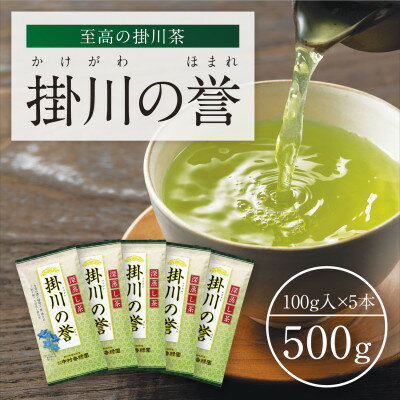 高級深蒸し掛川茶「掛川の誉」100g×5本セット[配送不可地域:離島・沖縄県]