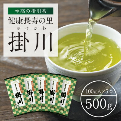 特上深蒸し掛川茶「健康長寿の里 掛川」100g×5本セット[配送不可地域:離島・沖縄県]