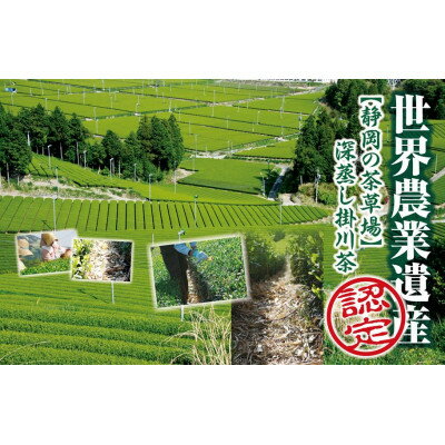 静岡県掛川市の画像2