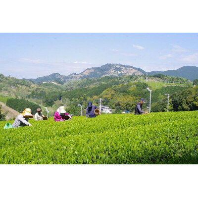 静岡県掛川市の画像3