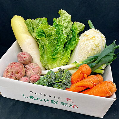 【ふるさと納税】【毎月定期便】【フードロス対応・規格外野菜利用】 オーガニック野菜 シェフSセット全12回【配送不可地域:離島・北海道・沖縄県・四国・九州】【4003730】