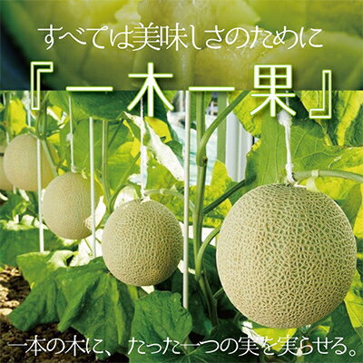 静岡県掛川市の画像2