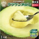 【ふるさと納税】【毎月定期便】クラウンメロン(白等級) 特大玉 1玉 全6回【配送不可地域:離島・北海道・沖縄県】【4012658】
