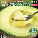 【ふるさと納税】【毎月定期便】クラウンメロン(白等級)特大玉 1玉 全12回【配送不可地域:離島・北海道・沖縄県】【4012659】