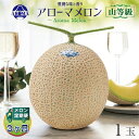 【ふるさと納税】【毎月定期便】アローマメロン(山等級) 1玉 全3回【配送不可地域:離島・北海道・沖縄県】【4012998】