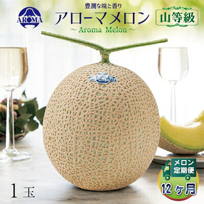 【ふるさと納税】【毎月定期便】アローマメロン(山等級) 1玉 全12回【配送不可地域:離島・北海道・沖縄県】【4013000】
