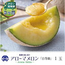 【ふるさと納税】【毎月定期便】アローマメロン(白等級) 1玉 全3回【配送不可地域:離島・北海道・沖縄県】【4013001】
