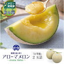 【ふるさと納税】【毎月定期便】アローマメロン(白等級) 2玉 全3回【配送不可地域:離島・北海道・沖縄県】【4013005】