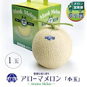 【ふるさと納税】【毎月定期便】アローマメロン(小玉) 1玉 全6回【配送不可地域:離島・北海道・沖縄県】【4013008】