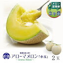 【ふるさと納税】【毎月定期便】アローマメロン(小玉) 2玉 全3回【配送不可地域:離島・北海道・沖縄県】【4013010】