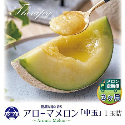 【ふるさと納税】【毎月定期便】アローマメロン白等級(中玉) 1玉 全3回【配送不可地域:離島・北海道・沖縄県】【4013016】