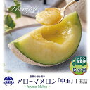 【ふるさと納税】【毎月定期便】アローマメロン白等級(中玉) 1玉 全6回【配送不可地域:離島・北海道・沖縄県】【4013017】