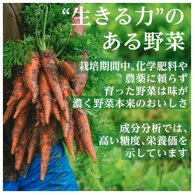 【ふるさと納税】【毎月定期便】有機野菜　Lセット　オーガニック 野菜セット　有機JAS認証　しあわせ野菜畑　全12回【配送不可地域：離島・北海道・沖縄県・四国・九州】【4013497】
