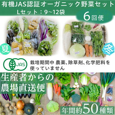 【ふるさと納税】【毎月定期便】有機 野菜　Lセット　オーガニック野菜 セット　有機JAS認証　しあわせ野菜畑全6回【配送不可地域：離島・北海道・沖縄県・四国・九州】【4013498】