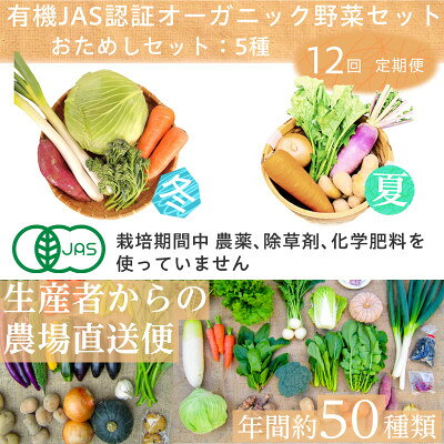 【ふるさと納税】【毎月定期便】有機 野菜　おためしセット　オーガニック野菜　有機JAS　しあわせ野菜畑全12回【配送不可地域：離島・北海道・沖縄県・四国・九州】【4013500】