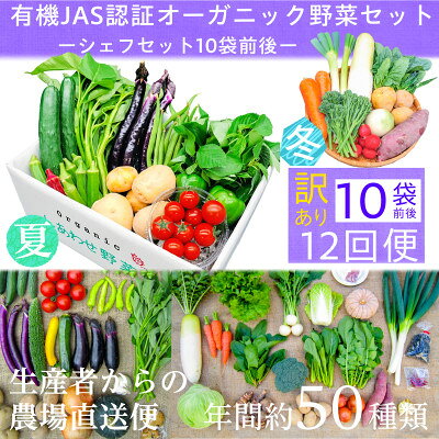 【ふるさと納税】【毎月定期便】【フードロス対応・規格外野菜利用】　有機野菜　シェフMセット　オーガニック野菜全12回【配送不可地域：離島・北海道・沖縄県・四国・九州】【4013501】