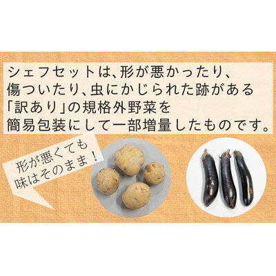 【ふるさと納税】【毎月定期便】【フードロス対応・規格外野菜利用】　有機野菜　シェフMセット　オーガニック野菜全12回【配送不可地域：離島・北海道・沖縄県・四国・九州】【4013501】