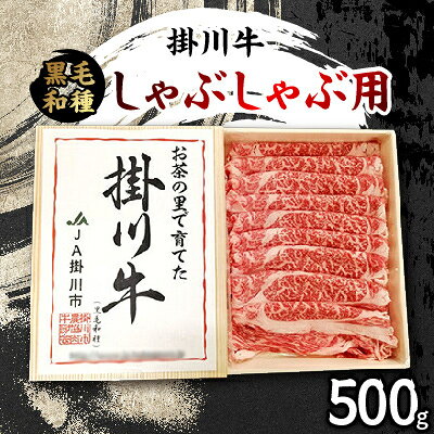 【ふるさと納税】【発送月固定定期便】クラウンメロン (白等級) 1kg 1玉と掛川牛しゃぶしゃぶ用 500g全2回【配送不可地域：離島・北海道・沖縄県・四国・九州】【4014786】