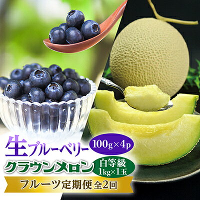 【ふるさと納税】【発送月固定定期便】クラウンメロン (白等級) 1kg 1玉と新鮮で大粒『生ブルーベリー』全2回【配送不可地域：離島・北海道・沖縄県・四国・九州】【4014787】