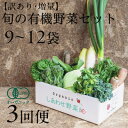 【ふるさと納税】【毎月定期便】しあわせ野菜畑のシェフⅬセット(訳あり規格外の有機野菜を一部使用)全3回【配送不可地域:離島・北海道・沖縄県・四国・九...