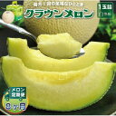 【ふるさと納税】【毎月定期便】クラウンメロン(白等級) 1玉全8回【配送不可地域:離島・北海道・沖縄県】【4069723】