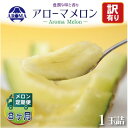 【ふるさと納税】【毎月定期便】【訳あり】アローマメロン 1玉 全8回【配送不可地域:離島・北海道・沖縄県】【4072000】