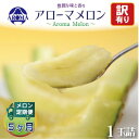 【ふるさと納税】【毎月定期便】【訳あり】アローマメロン 1玉 全5回【配送不可地域:離島・北海道・沖縄県】【4072003】