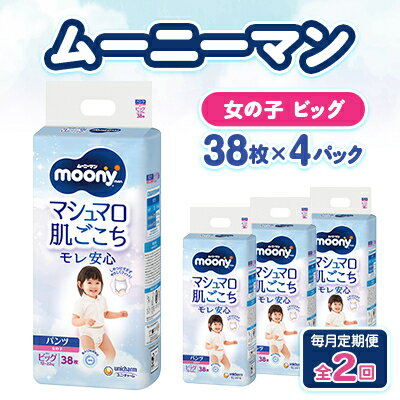 【ふるさと納税】【毎月定期便】ムーニーマン マシュマロ肌ごこちモレ安心 女の子 ビッグ 38枚×4パック全2回【配送不可地域:離島・沖縄県】【4075527】