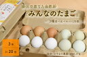 【ふるさと納税】たまご 卵 掛川で育てた 自然卵「みんなのたまご」3種食べ比べセット（20個）