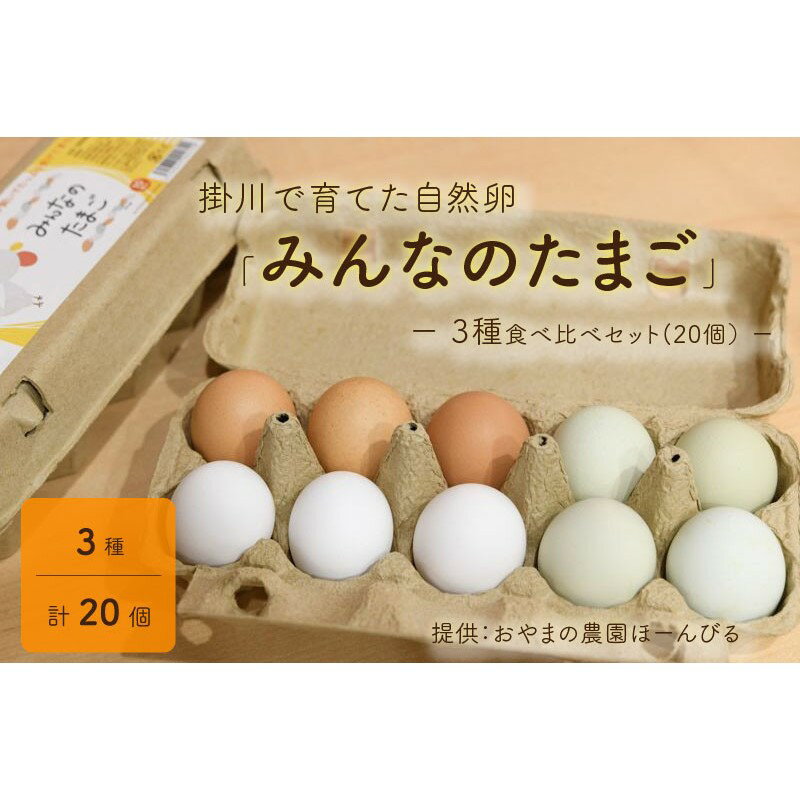たまご 卵 掛川で育てた 自然卵「みんなのたまご」3種食べ比べセット(20個)
