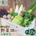 【ふるさと納税】しあわせ野菜畑の有機野菜 Lセット (安心の有機JAS認証 旬のオーガニック野菜 農場直送便)【配送不可地域:離島・北海道・沖縄県・四国・九州】...