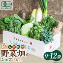【ふるさと納税】しあわせ野菜畑のシェフLセット (訳あり規格外の有機野菜を一部使用)【配送不可地域:離島・北海道・沖縄県・四国・九州】【1608189】