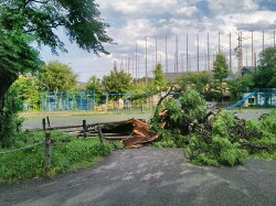 【ふるさと納税】【令和5年7月豪雨災害支援緊急寄附受付】静岡県掛川市災害応援寄附金（返礼品はありません） 画像2