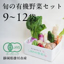 【ふるさと納税】【定期便】しあわせ野菜畑の有機野菜(Lセット)3回、6回、12回(有機JAS認証 オーガニック野菜)【配送不可地域:離島・北海道・沖縄県・四国・九州】【G4066009】
